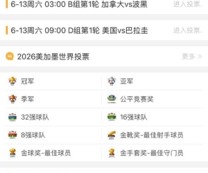 如何添加3163社区到手机主屏幕